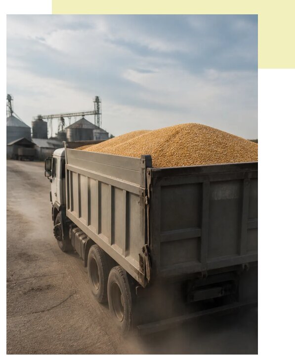 Перевозка сельхозпродукции навалом в Куйбышев по цене от 3111 р. | Агросервис-Кбш